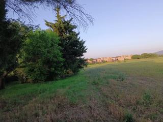 Terreno agricolo in vendita a Colle Di Val D'elsa (SI)