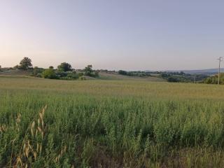 Terreno agricolo in vendita a Colle Di Val D'elsa (SI)