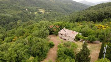 Colonica in vendita a Castelnuovo Di Val Di Cecina (PI)