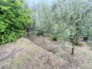 Casa semi-indipendente in vendita a Camaiore (LU)