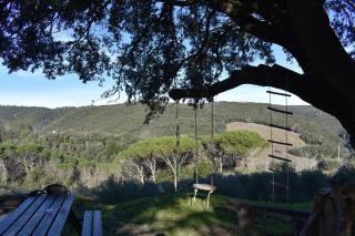 Rustico in vendita a San Gimignano (SI)