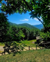 Baita/Chalet/Trullo/Stazzo in vendita a Versurone, Fiumalbo (MO)