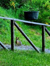 Baita/Chalet/Trullo/Stazzo in vendita a Versurone, Fiumalbo (MO)