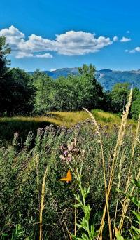 Baita/Chalet/Trullo/Stazzo in vendita a Versurone, Fiumalbo (MO)