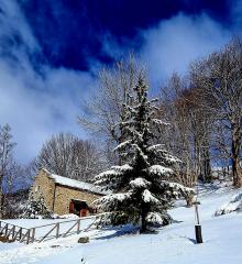 Baita/Chalet/Trullo/Stazzo in vendita a Versurone, Fiumalbo (MO)