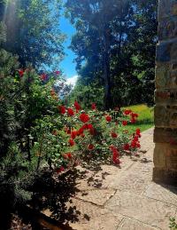 Baita/Chalet/Trullo/Stazzo in vendita a Versurone, Fiumalbo (MO)