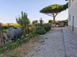 Casa indipendente in vendita a Campiglia Marittima (LI)