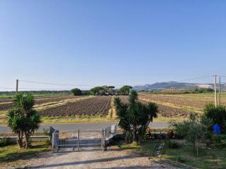 Casa indipendente in vendita a Campiglia Marittima (LI)