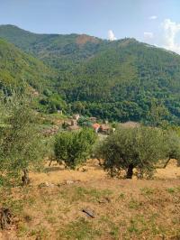 Colonica in vendita a Castelmaggiore, Calci (PI)