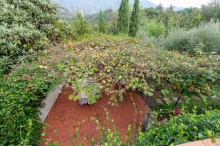 Casa semi-indipendente in vendita a Monteggiori, Camaiore (LU)