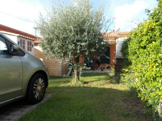 Casa indipendente in vendita a Vecchiano (PI)