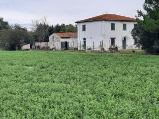 Casa indipendente in vendita a Terricciola (PI)