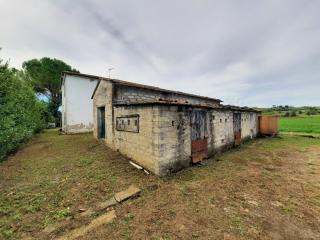 Casa indipendente in vendita a Terricciola (PI)