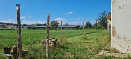 Casa indipendente in vendita a Terricciola (PI)