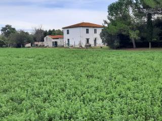 Casa indipendente in vendita a Terricciola (PI)