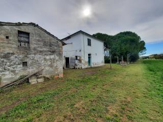 Casa indipendente in vendita a Terricciola (PI)