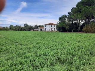 Casa indipendente in vendita a Terricciola (PI)