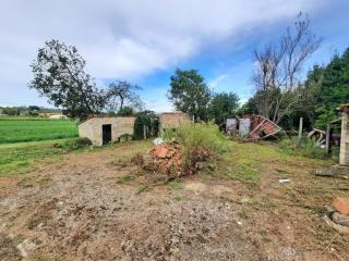 Casa indipendente in vendita a Terricciola (PI)