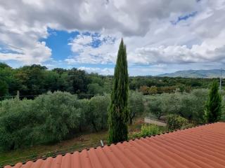 Casa indipendente in vendita a Falorni, Santa Maria A Monte (PI)