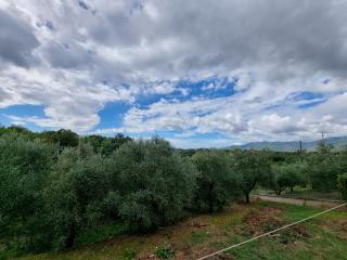 Casa indipendente in vendita a Falorni, Santa Maria A Monte (PI)