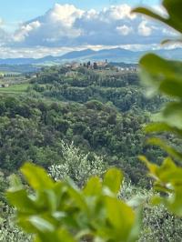 Casa indipendente in vendita a Partino, Palaia (PI)