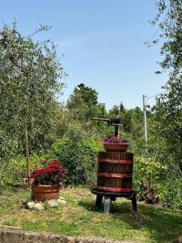 Casa indipendente in vendita a Partino, Palaia (PI)