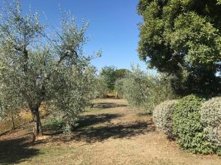 Casa indipendente in vendita a Partino, Palaia (PI)