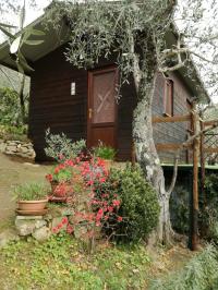 Terreno agricolo in vendita a Camaiore (LU)