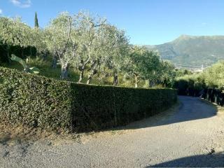 Terreno agricolo in vendita a Camaiore (LU)