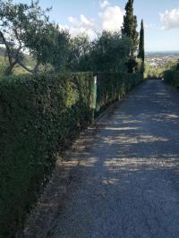 Terreno agricolo in vendita a Camaiore (LU)