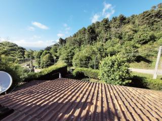 Casa indipendente in vendita a Capriglia, Pietrasanta (LU)