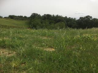 Terreno edificabile in vendita a Montelupo Fiorentino (FI)