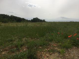 Terreno edificabile in vendita a Montelupo Fiorentino (FI)