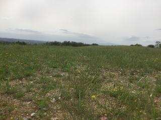 Terreno edificabile in vendita a Montelupo Fiorentino (FI)