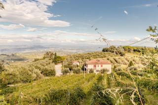 Appartamento in vendita a Gambassi Terme (FI)