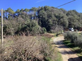 Colonica in vendita a Casciana Terme Lari (PI)