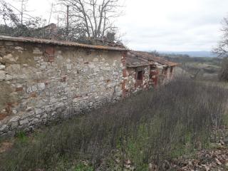 Terreno agricolo in vendita a Asciano (SI)