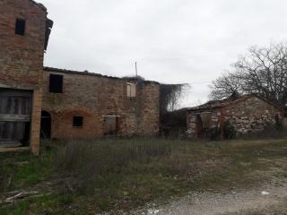 Terreno agricolo in vendita a Asciano (SI)