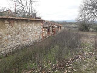 Terreno agricolo in vendita a Asciano (SI)