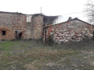 Terreno agricolo in vendita a Asciano (SI)