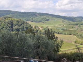 Terreno agricolo in vendita a Castelnuovo Berardenga (SI)