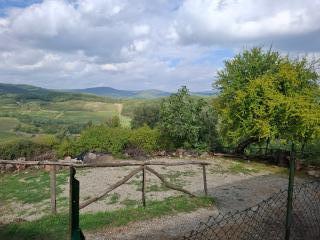 Terreno agricolo in vendita a Castelnuovo Berardenga (SI)