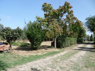 Terratetto in vendita a Castelfranco Di Sotto (PI)