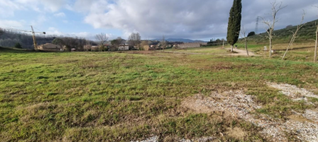 Terreno edificabile in vendita a Fauglia (PI)