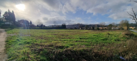 Terreno edificabile in vendita a Fauglia (PI)