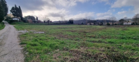 Terreno edificabile in vendita a Fauglia (PI)