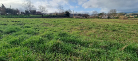 Terreno edificabile in vendita a Fauglia (PI)