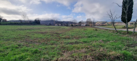 Terreno edificabile in vendita a Fauglia (PI)