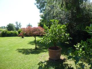 Duplex in vendita a Vecchiano (PI)