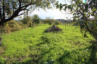 Casa indipendente in vendita a Le Casine, Casciana Terme Lari (PI)